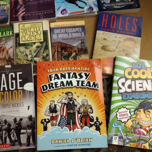 Large LOT of WWII, Holocaust, Survivor Teen Books from Scholastic - Picture 2 of 6